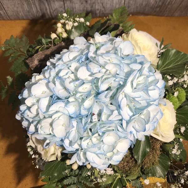 Blumenstrauß weiß/blau Bild 2